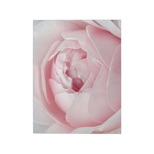 Bloc-note Rose Poster Il Presse (Tourné)