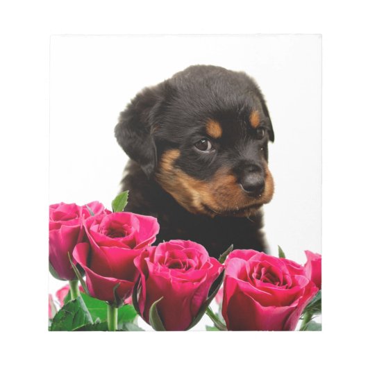 Bloc-note Rose Valentin Rottweiler Puppy (Devant)