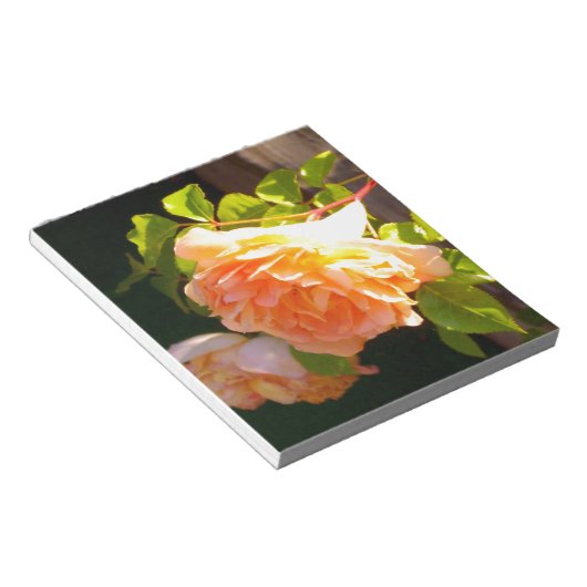 Bloc-note Roses de pêche par pays (Incliné)