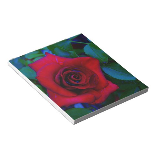 Bloc-note Roses rouges aux tons bleus (Incliné)