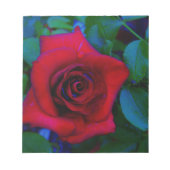Bloc-note Roses rouges aux tons bleus (Devant)