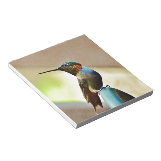 Bloc-note Ruby perché et petit colibri vert (Incliné)