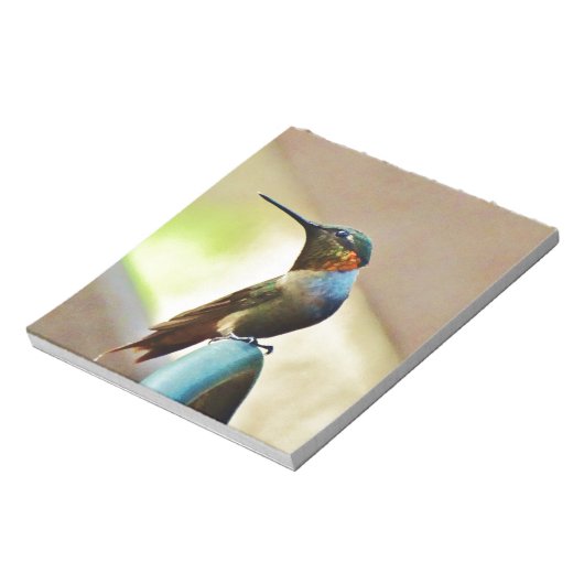 Bloc-note Ruby perché et petit colibri vert (Tourné)