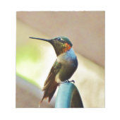 Bloc-note Ruby perché et petit colibri vert (Devant)
