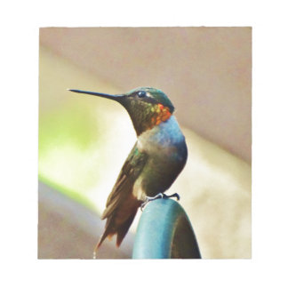 Bloc-note Ruby perché et petit colibri vert