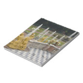 Bloc-note Russie, Saint-Pétersbourg, Peterhoff (alias (Tourné)