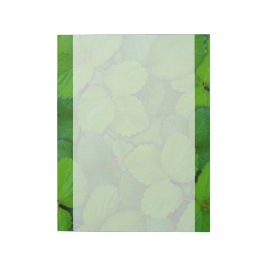 Bloc-note Saint Basil Tulsi Green Mint Feuilles (Tourné)