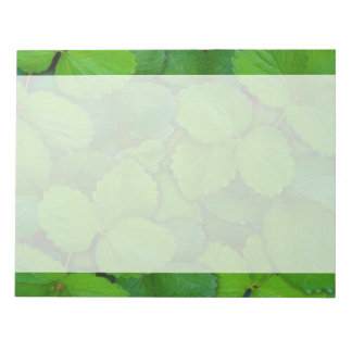 Bloc-note Saint Basil Tulsi Green Mint Feuilles