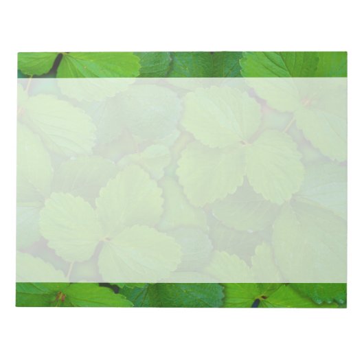 Bloc-note Saint Basil Tulsi Green Mint Feuilles (Devant)