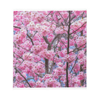 Bloc-note Sakura Blossom Serenity