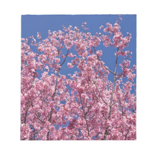 Bloc-note Sakura Cerisiers en Fleur Dans Le Bleu