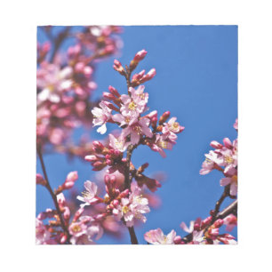 Bloc-note Sakura Cerisiers en Fleur Touchant le Bleu