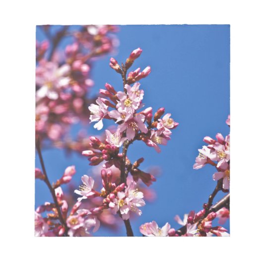 Bloc-note Sakura Cerisiers en Fleur Touchant le Bleu (Devant)