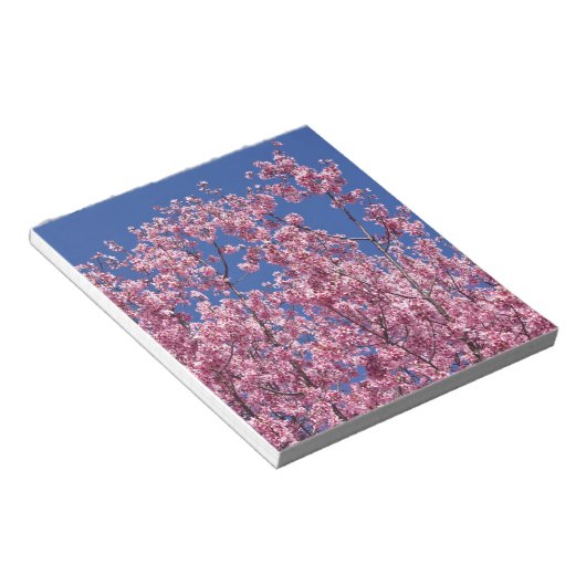 Bloc-note Sakura Cherry Fleurit Dans Le Bleu (Incliné)