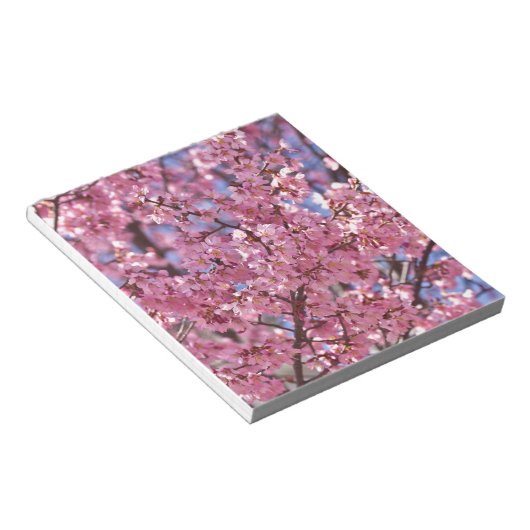 Bloc-note Sakura Pink Cherry Blossom Sky (Incliné)