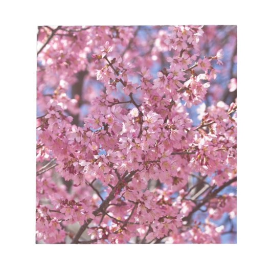 Bloc-note Sakura Pink Cherry Blossom Sky (Devant)