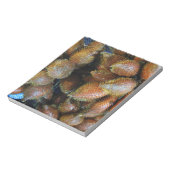 Bloc-note Salak [Fruit de serpent] (Tourné)