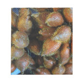 Bloc-note Salak [Fruit de serpent] (Devant)