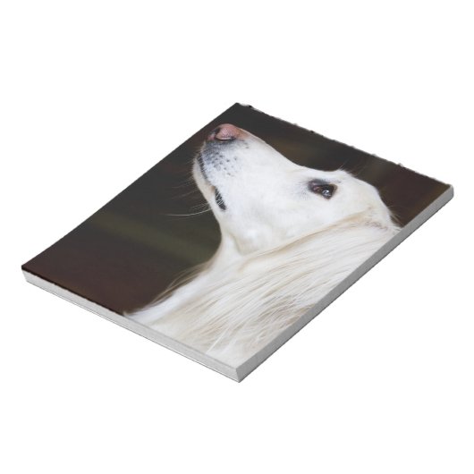 Bloc-note Saluki se lève (Tourné)