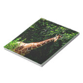 Bloc-note Samburu Giraffe (Tourné)