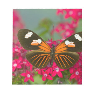 Bloc-note Sammamish Washington Photographie d'un papillon su