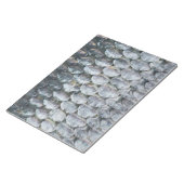 Bloc-note Scales Saumons brillantes (Incliné)