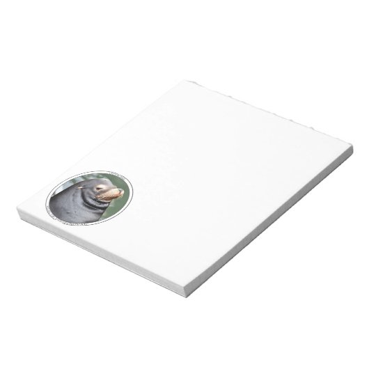 Bloc-note Sceau de désapprobation 5x6 Notes (Tourné)