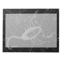 Scorpio Constellation Hevelius 1690 Vintage Noir