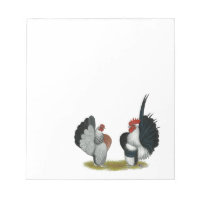 Serama Bantams