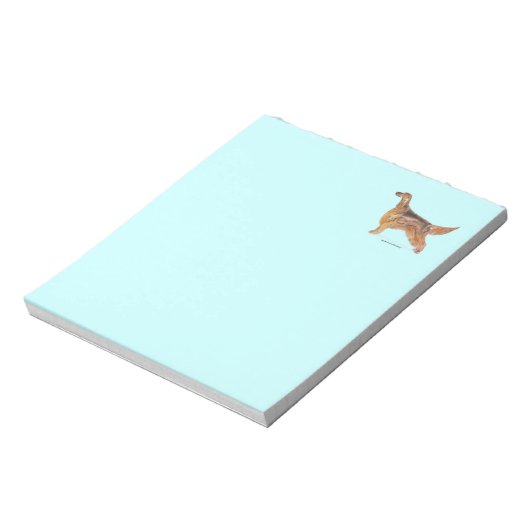 Bloc-note Setter irlandais (Tourné)