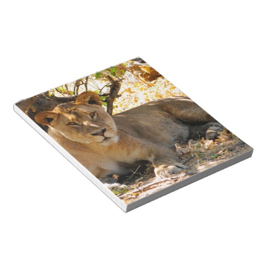 Bloc-note Siesta Time (Incliné)