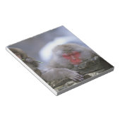 Bloc-note Singe des neiges, mère et enfant, Jigokudani, Naga (Incliné)