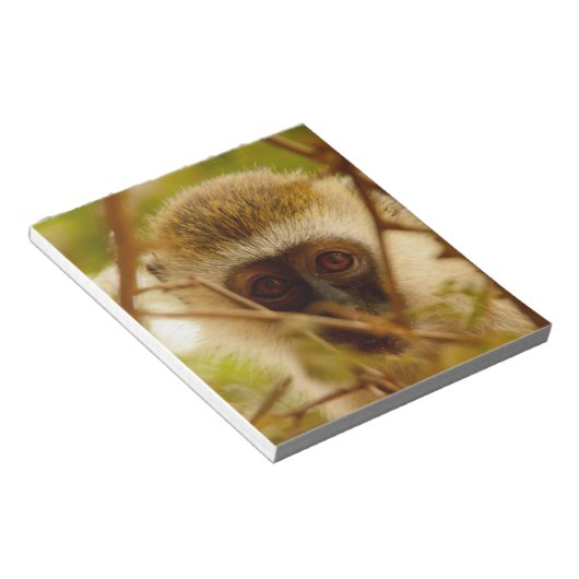 Bloc-note Singe effronté. (Incliné)