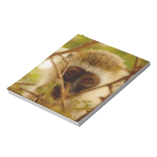 Bloc-note Singe effronté. (Tourné)