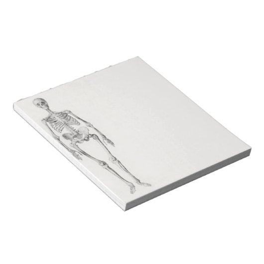 Bloc-note Skeleton Skull (Incliné)