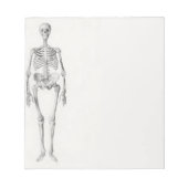 Bloc-note Skeleton Skull (Devant)
