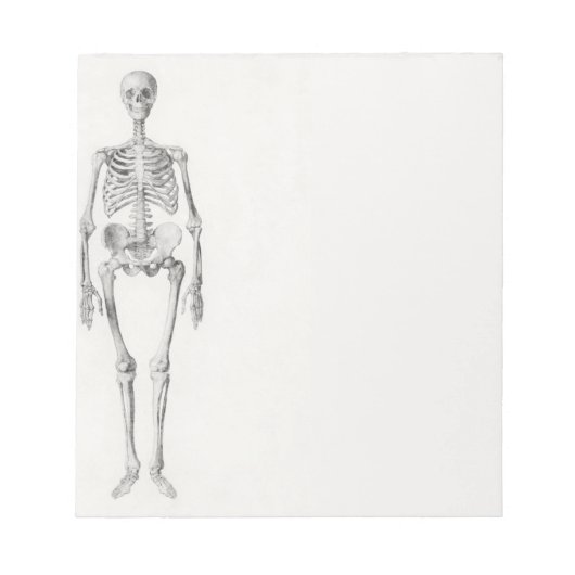 Bloc-note Skeleton Skull (Devant)