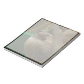 Bloc-note Sloth (Tourné)