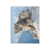Bloc-note Snow Leopard Animal Wild Beauté Liberté Wilderness (Tourné)