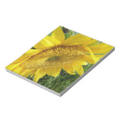 Bloc-note Soleil brillant (Tourné)