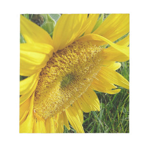 Bloc-note Soleil brillant