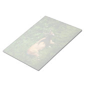 Bloc-note Soyez sur votre chemin (Incliné)