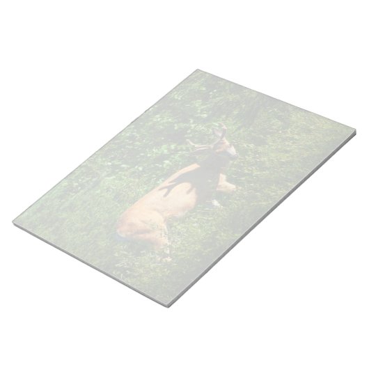 Bloc-note Soyez sur votre chemin (Incliné)