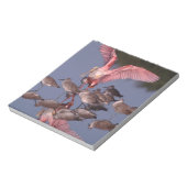 Bloc-note Spatule rosée avec des willet dans l'eau peu profo (Tourné)