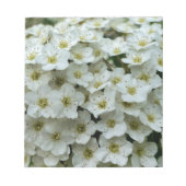 Bloc-note Spirea Arguta (Devant)