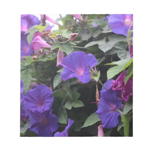 Bloc-note Spring Morning Glories en bleu (Devant)