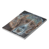 Bloc-note Springer anglais (Tourné)