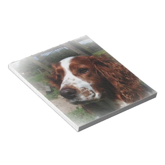 Bloc-note Springer Spaniel Chien Art (Incliné)