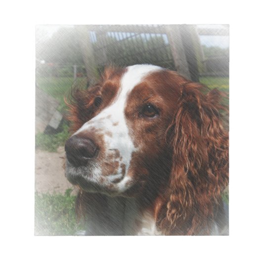 Bloc-note Springer Spaniel Chien Art (Devant)