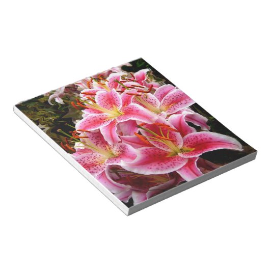 Bloc-note "Stargazer" (Incliné)